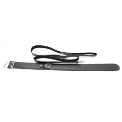 Generique Collier Laisse Premium